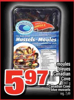 MOULES BLEUES CANADIAN COVE