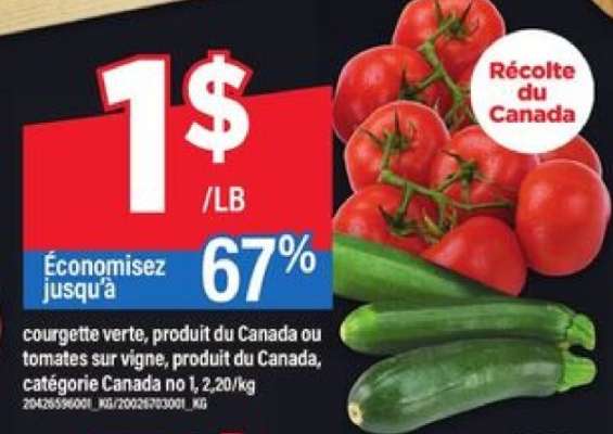 Courgette verte ou tomates sur vigne