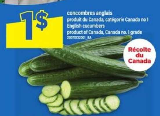 CONCOMBRES ANGLAIS