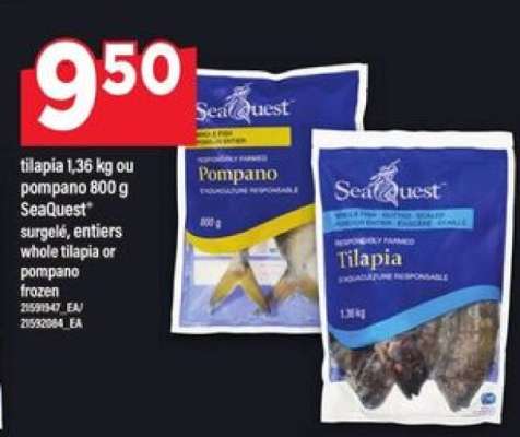 SeaQuest Tilapia or Pompano
