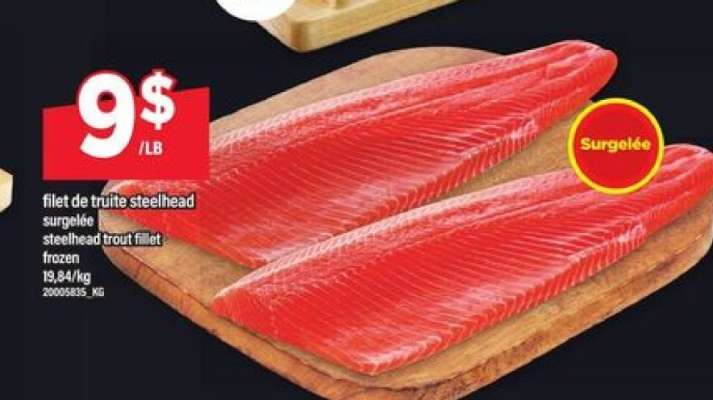Filet de truite steelhead surgelée