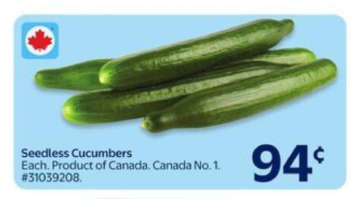 SEEDLESS CUCUMBERS