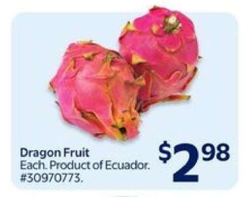 DRAGON FRUIT