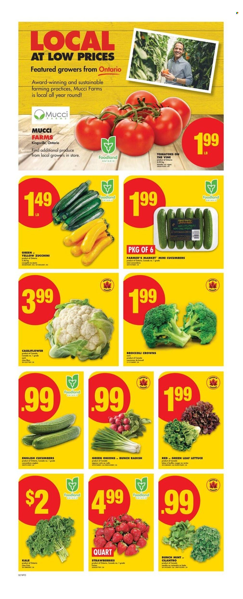 No Frills flyer - July 10, 2025 - July 16, 2025. Page 3