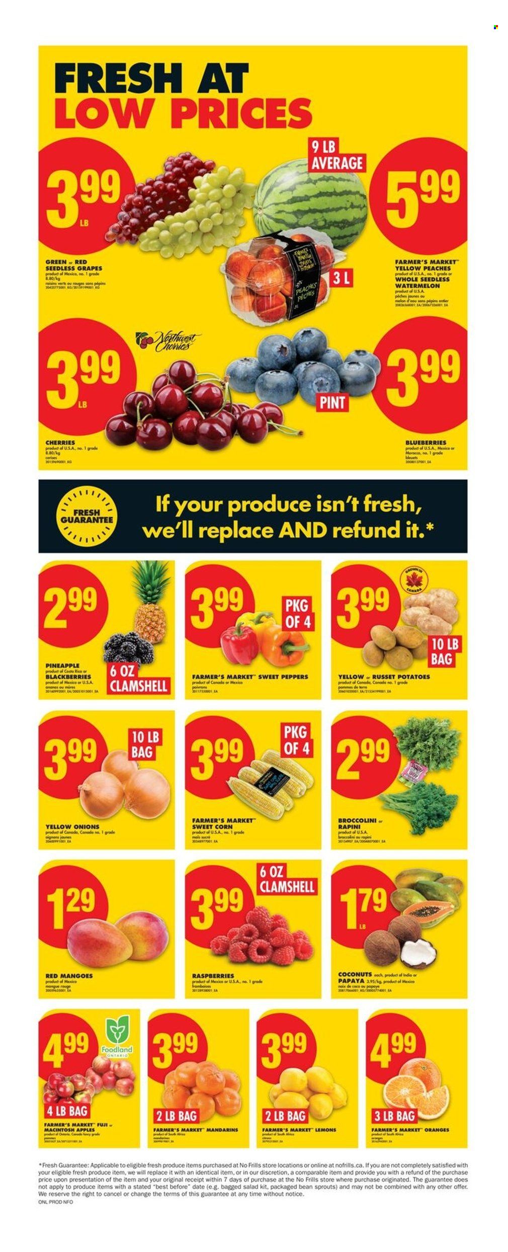 No Frills flyer - July 10, 2025 - July 16, 2025. Page 4