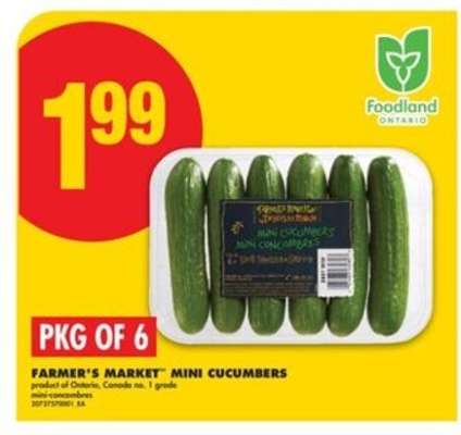 FARMER'S MARKET MINI CUCUMBERS