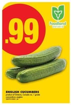 ENGLISH CUCUMBERS