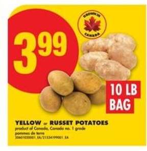 YELLOW or RUSSET POTATOES