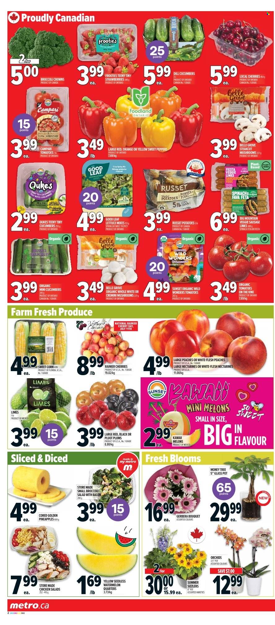 Metro flyer - July 10, 2025 - July 16, 2025. Page 5