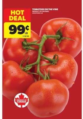 TOMATOES ON THE VINE
