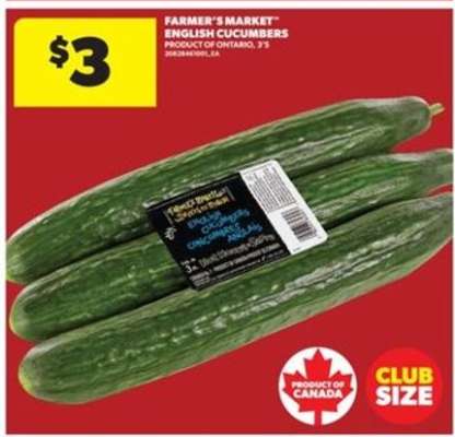 Farmer's Market English Cucumbers