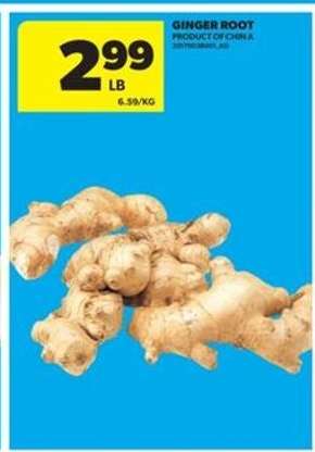 GINGER ROOT