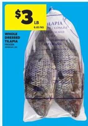 WHOLE DRESSED TILAPIA