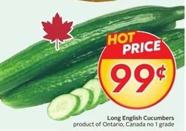 Long English Cucumbers
