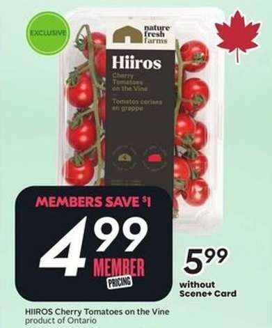 HIIRIOS Cherry Tomatoes on the Vine