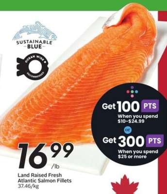 Land Raised Fresh Atlantic Salmon Fillets