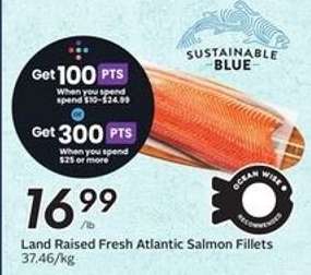 Land Raised Fresh Atlantic Salmon Fillets