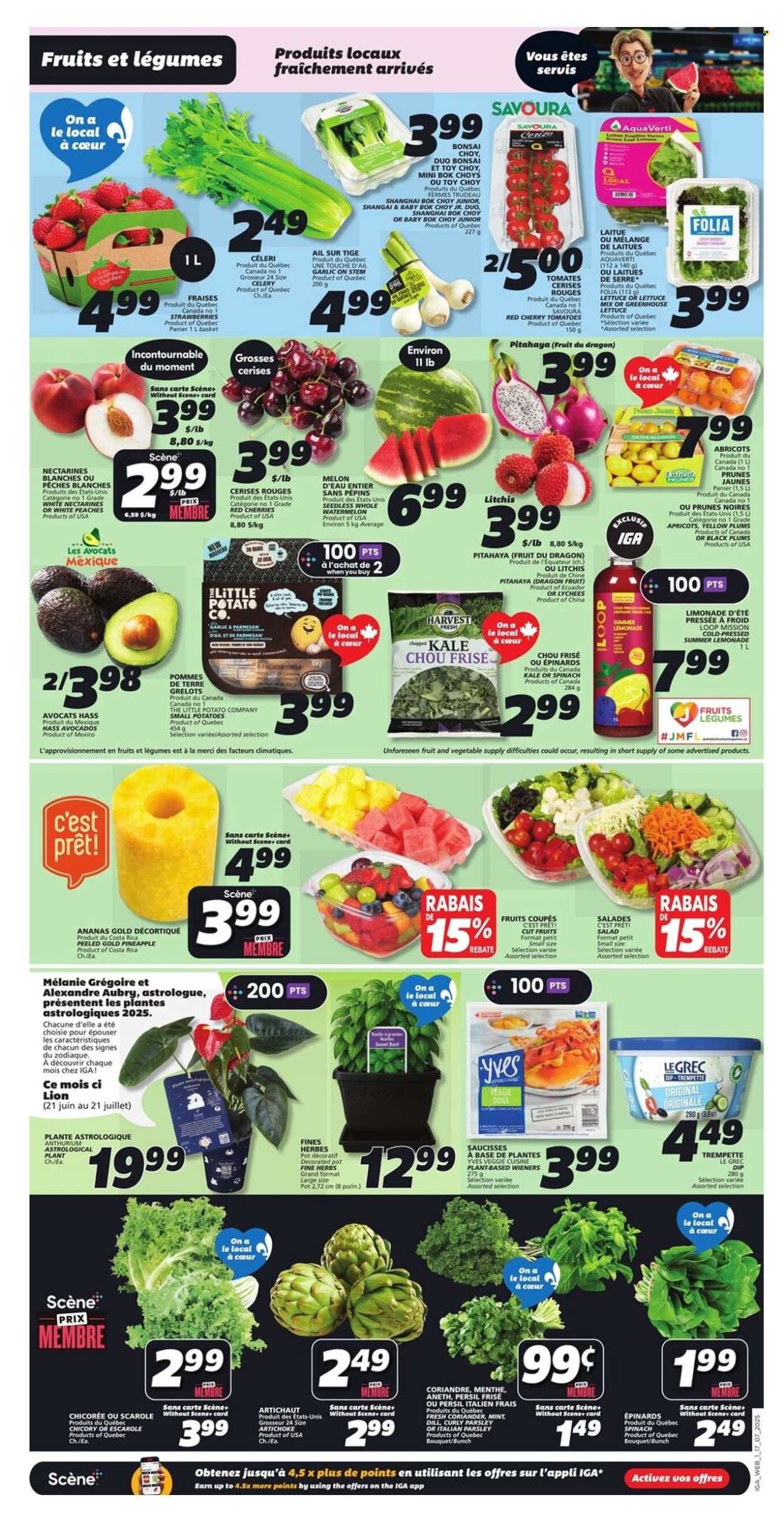 IGA flyer - July 17, 2025 - July 23, 2025. Page 3