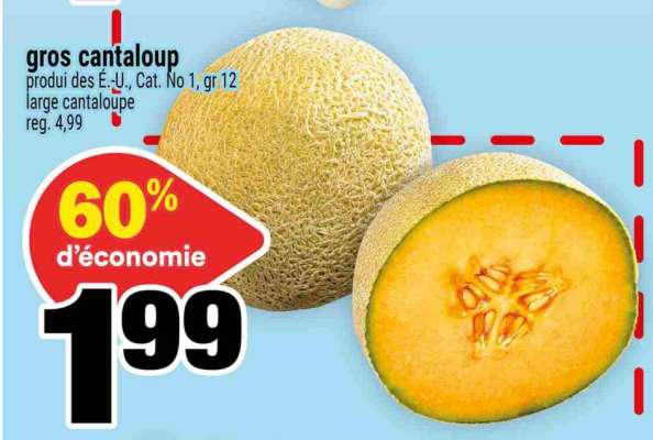 Gros Cantaloup