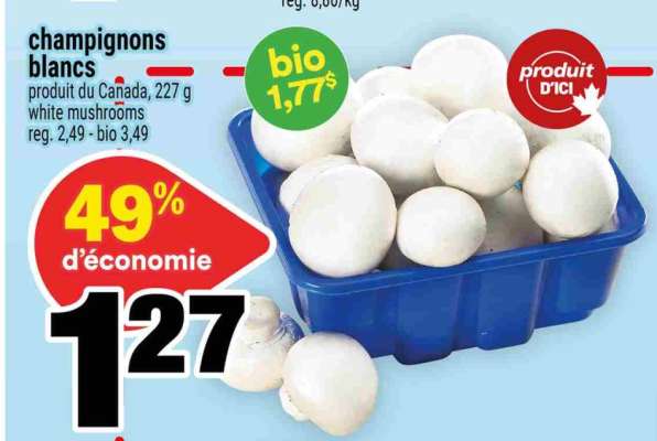 CHAMPIGNONS BLANCS