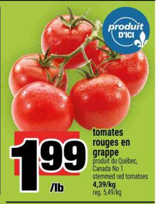 TOMATES ROUGES EN GRAPPE