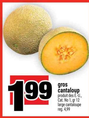 Gros Cantaloup