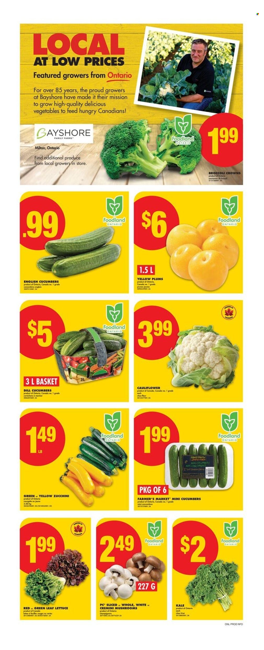 No Frills flyer - July 17, 2025 - July 23, 2025. Page 3