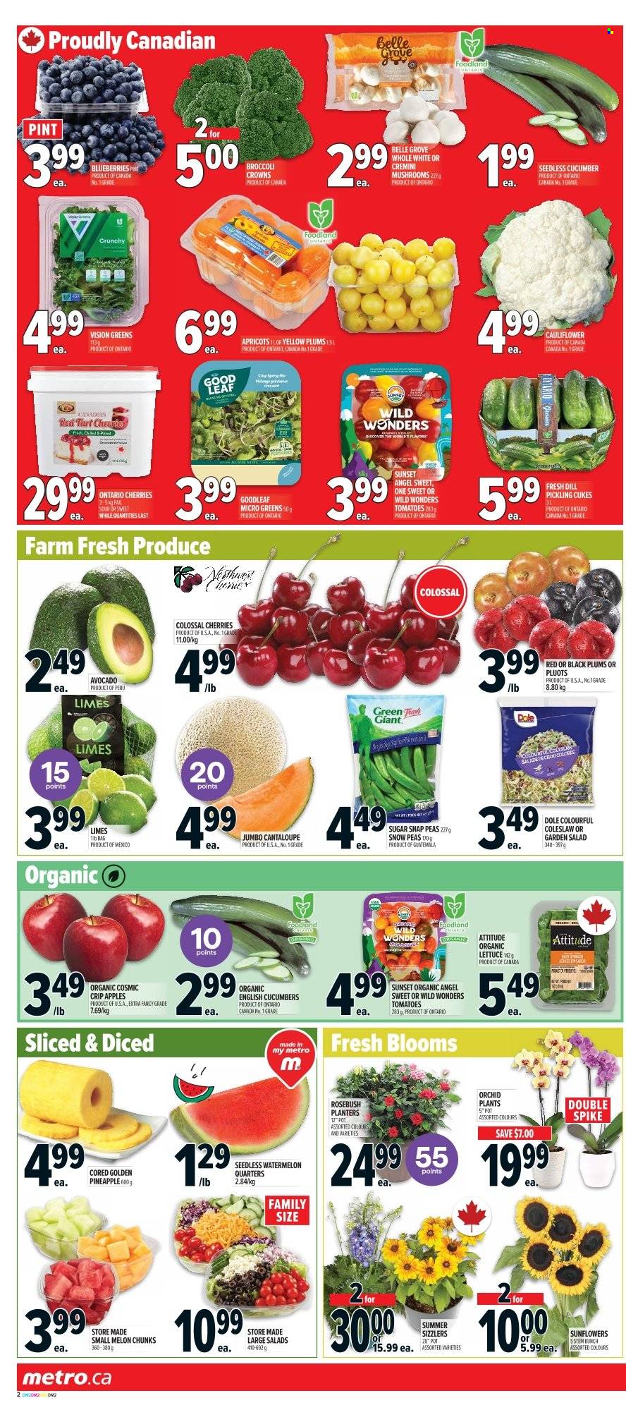 Metro flyer - July 17, 2025 - July 23, 2025. Page 5
