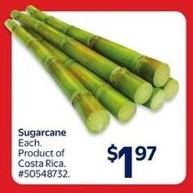 Sugarcane