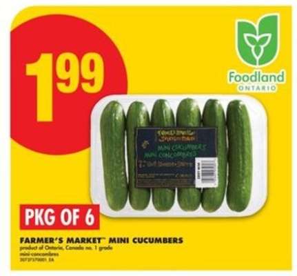 FARMER'S MARKET MINI CUCUMBERS