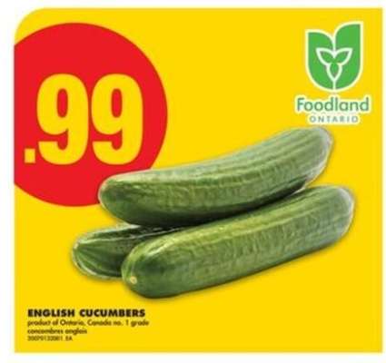ENGLISH CUCUMBERS