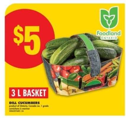 DILL CUCUMBERS
