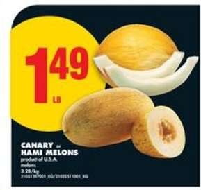 CANARY or HAMI MELONS