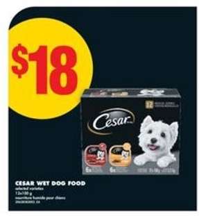 Cesar Wet Dog Food