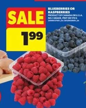 BLUEBERRIES OR RASPBERRIES
