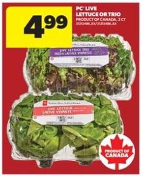 PC Live Lettuce or Trio