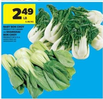 Baby Bok Choy or Shanghai Bok Choy