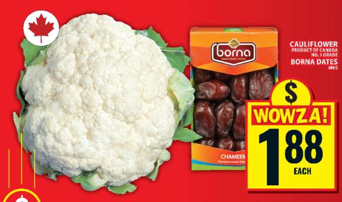 BORNA DATES