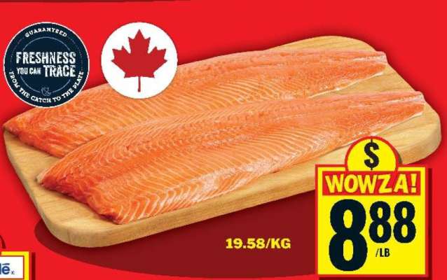 Salmon Fillets
