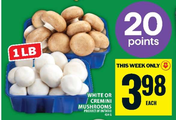 WHITE OR CREMINI MUSHROOMS