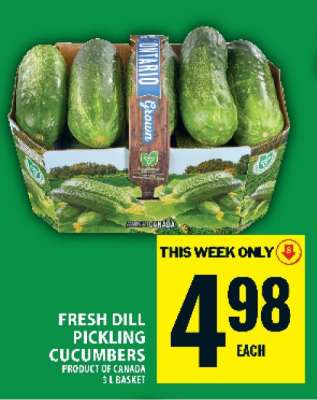 Fresh Dill Pickling Cucumbers