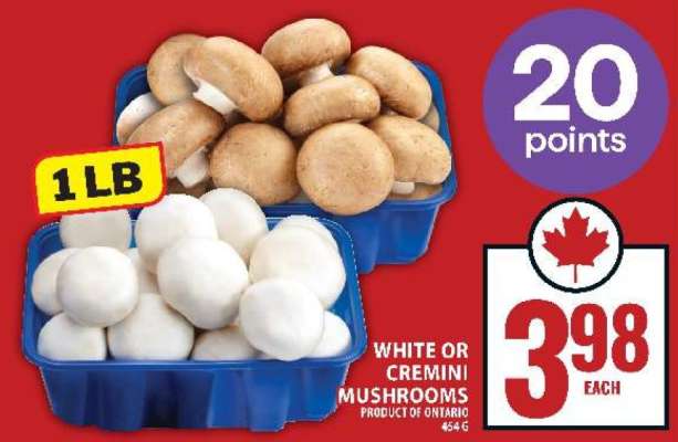 WHITE OR CREMINI MUSHROOMS