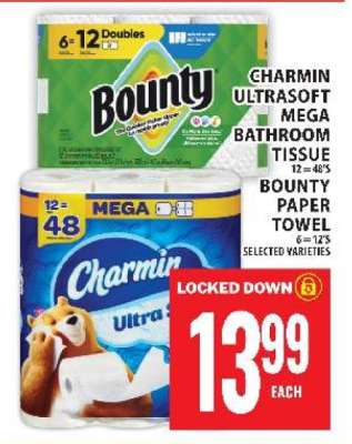 Charmin UltraSoft Mega Bathroom Tissue & Bounty Paper Towel