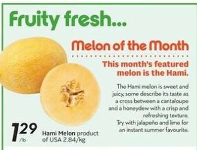 HAMI MELON