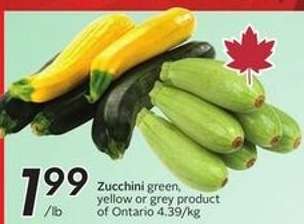 Zucchini