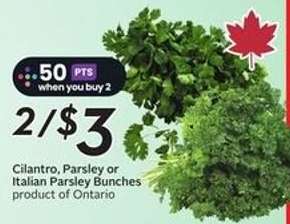 Cilantro, Parsley or Italian Parsley Bunches