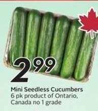 Mini Seedless Cucumbers