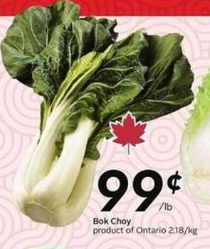 BOK CHOY