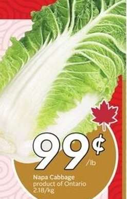 NAPA CABBAGE