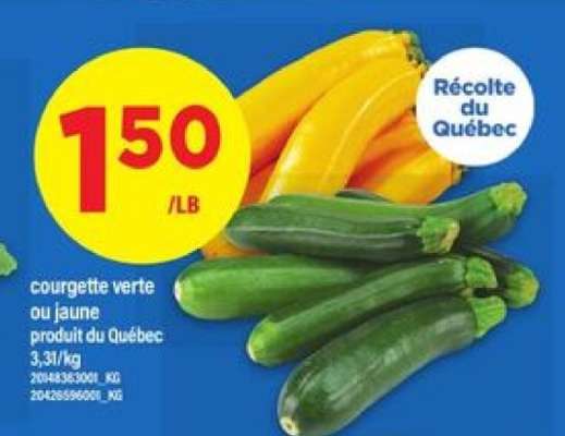 COURGETTE VERTE OU JAUNE